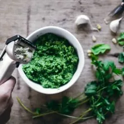 Dreamfarm Garject Hvidløgspresser -køkkenudstyr 3990 66fe3852 baef 4d7e acea 92c2933a118c