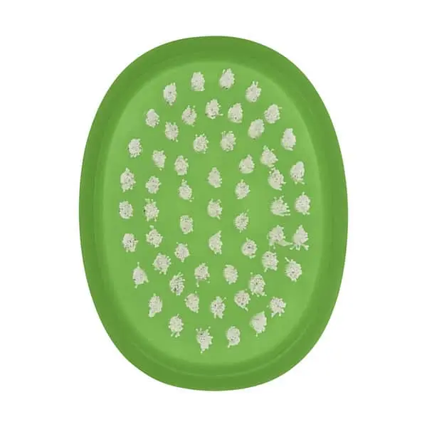 OXO Good Grips Grøntsagsbørste 5 OXO Good Grips Grøntsagsbørste - Billede 3